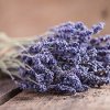 dolphin-cosmetics-lavender-essential-oil--50ml